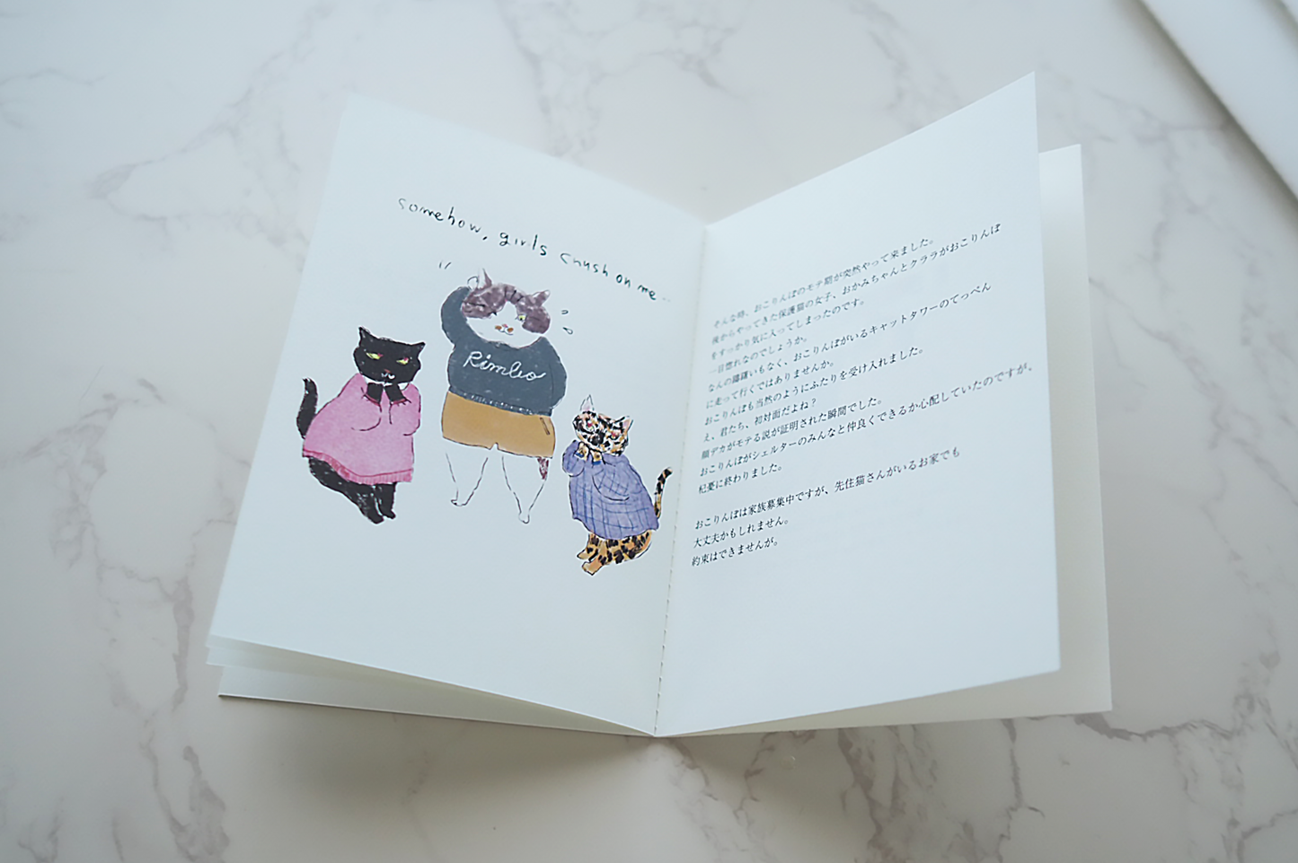 おこりんぼストーリー｜ZINE