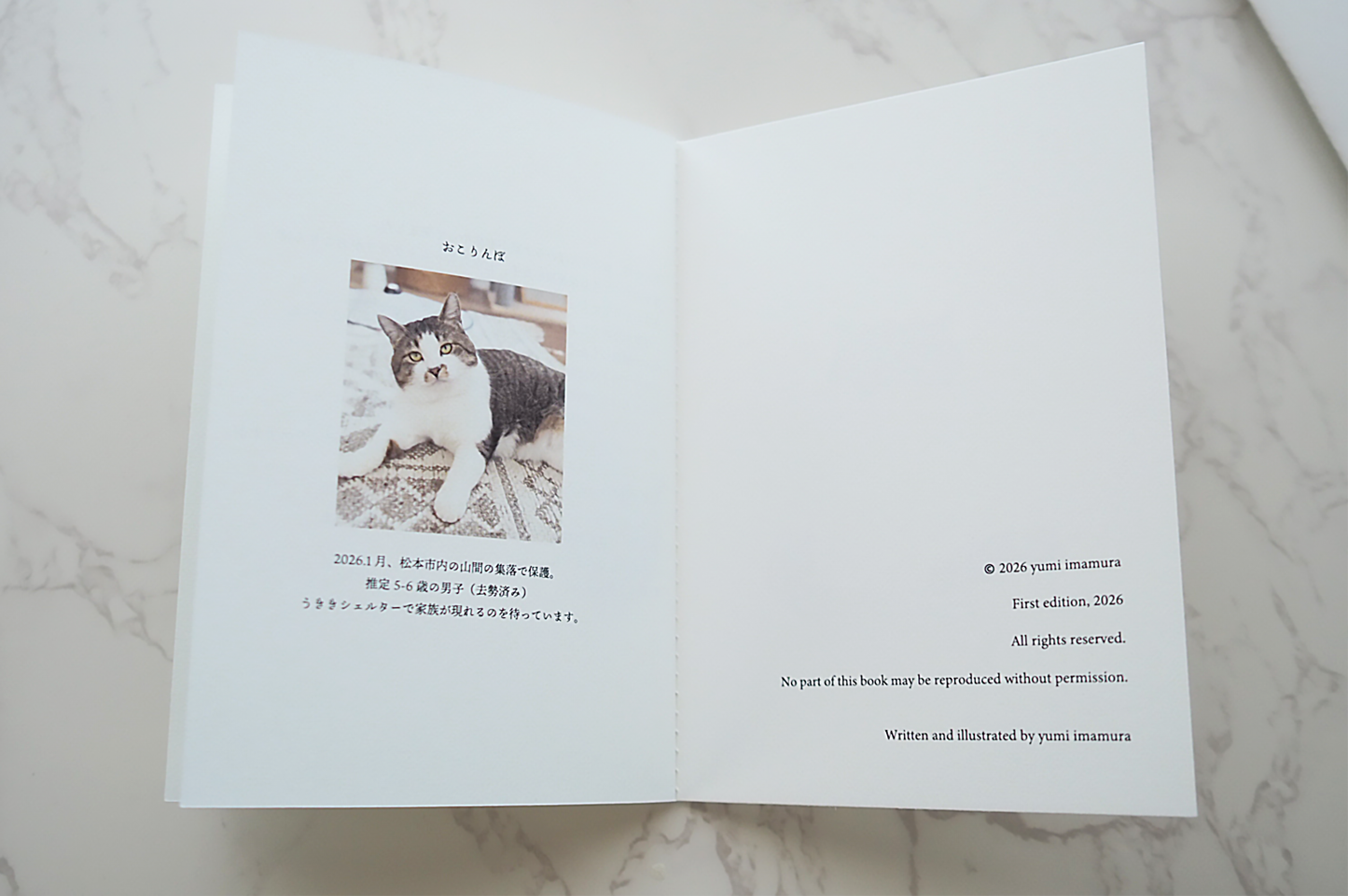 おこりんぼストーリー｜ZINE